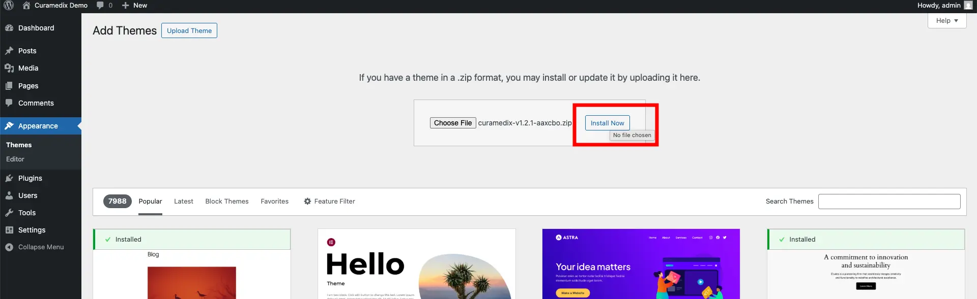 Screenshot of curamedix theme installation
